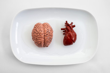 Human internal organs on white plate ready for organ transplant.
