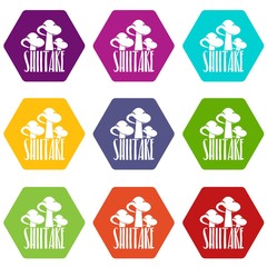 Shiitake icons 9 set coloful isolated on white for web