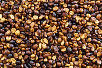 background of parchment coffee black honey processed