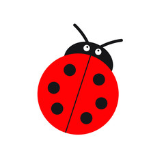 Obraz premium Ladybug or ladybird vector graphic illustration, isolated. Cute simple flat design of black and red lady beetle.