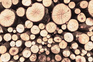Round firewood, texture