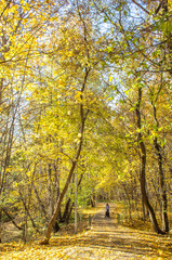 Warm autumn day in the park