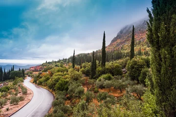 Fotobehang Toscane beautiful landscape in south croatia   © Herbert