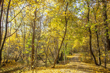 Warm autumn day in the park