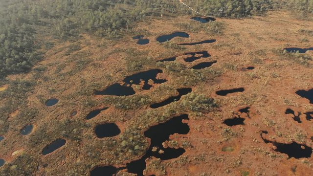 Aerial view of bog with water ponds and pools in Pilkas bog, Latvia