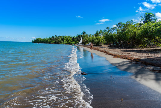 beach in guadeloupe 