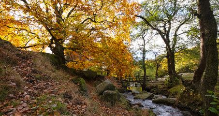 Padley Gorge in autumn, beautiful colours of the Peak District