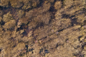 Aerial view of agricultural field with high grass