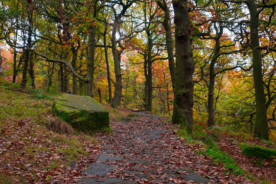 Autumn color at Padley Gorge in the Derbyshire Peak District