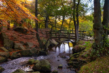 Bridge in Padley Gorge woodland in autumn, beautiful colours of the Peak District