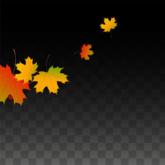 September Vector Background with Golden Falling Leaves. Autumn Illustration with Maple Red, Orange, Yellow Foliage. Isolated Leaf on Transparent Background. Bright Swirl. Suitable for Posters.