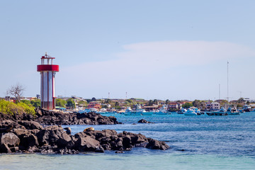 Galápagos phare rouge île Santa Cruz océan
