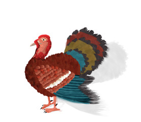 Watercolor turkey