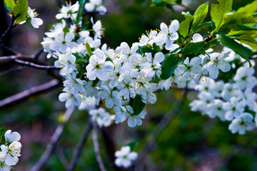 Весна/It's spring