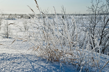 Зима/Winter