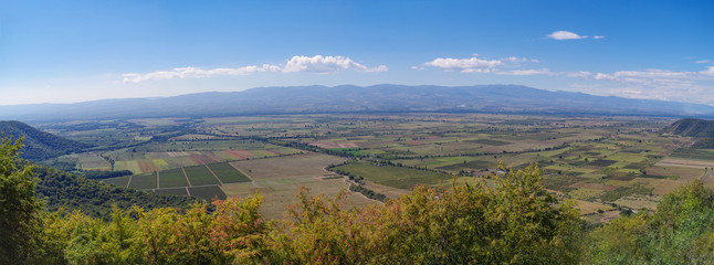 Panoramic view of the Alazani Valley. One of the main areas of viticulture of Georgia. Center of the Georgian wine industry. Nature and travel. Kakheti region