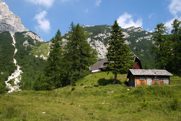 Cabin in the mountains