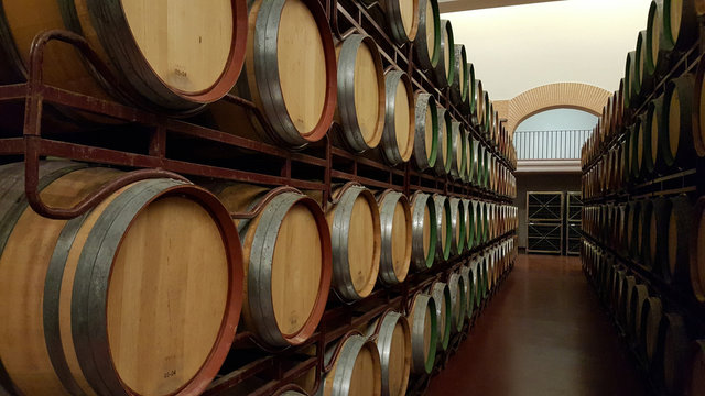 Barriles de vino en bodega