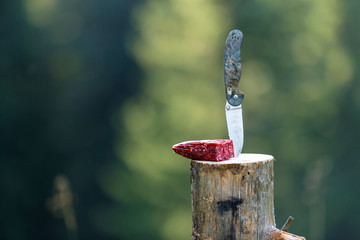 Close-up of folding pocket knife stuck vertically in tree stump and piece of sausage outdoors on...