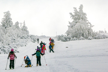 Groupe d'enfants au ski
