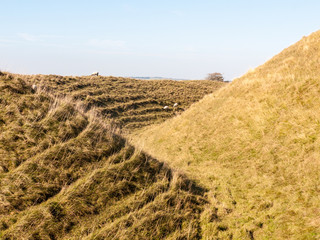maiden castle iron age old fortress landscape nature grassland animals space beauty natural sheep