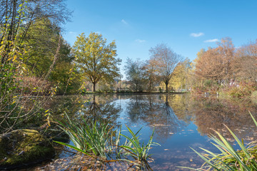 Teich in Saalhausen Sauerland im Herbst mit wundersch&ouml;ner Spiegelung der B&auml;ume