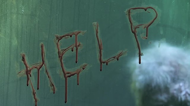 Horror zombie. Halloween party. Close-up portrait of a horrible scary zombie man in smoke.