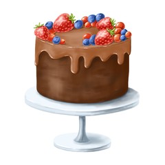Hand drawn chocolate cake with berries, isolated on white background. Delicious dessert food illustration.