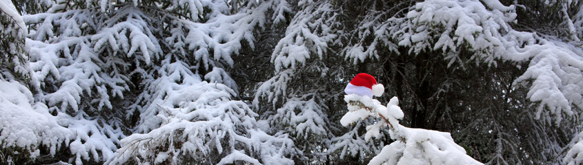 Red Santa Claus hat on the fir tree in winter forest. Christmas background.