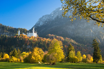 Neuschwanstein im Herbst - obrazy, fototapety, plakaty