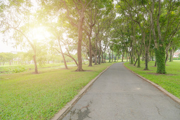 Old pathway and beautiful orchid trees track in the park on green grass field on the side of the golf course. Sunlight and flare concept.