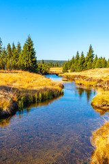 Small mountain creek meandering in the middle of meadows and forest. Sunny day with blue sky and...