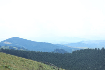 Beautiful landscape with forest and mountain slopes