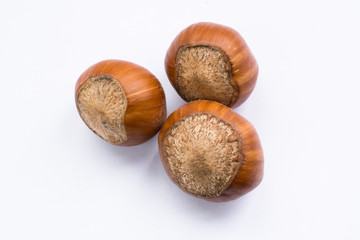 Isolated hazelnuts close up 