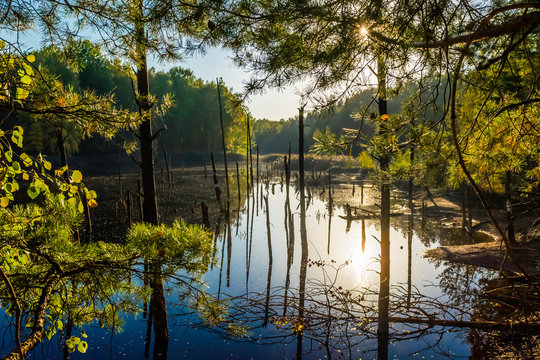 Łuk mużakowski - geo park - kopalnia babina