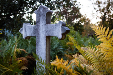 Granite cross in the middle of an abandoned cemetery, surrounded by green and yellow ferns in autumn