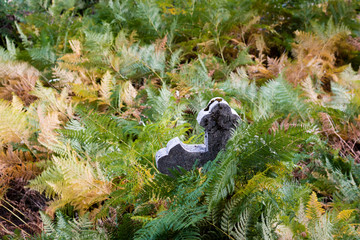 Granite cross in the middle of an abandoned cemetery, surrounded by green and yellow ferns in autumn