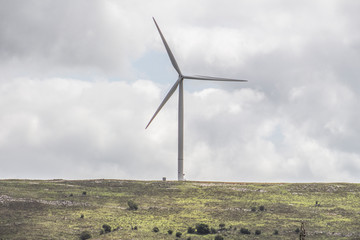 Molino de viento energia eolica