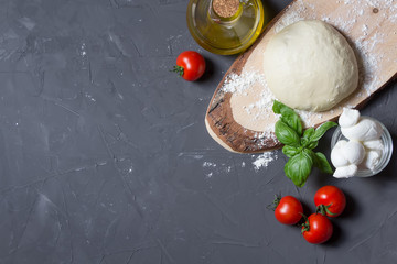 Raw pizza ingredients on the grey background with copy space, you can put your image or inscription...