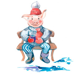 Watercolor pig with a gift. Christmas handpainted illustration. Cute character.