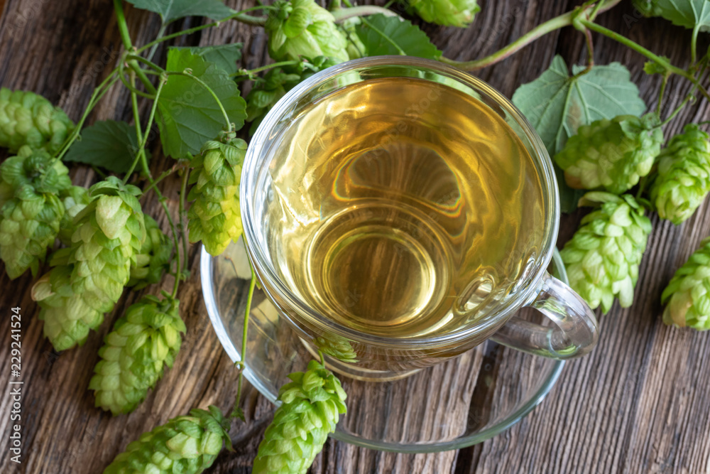 Wall mural A cup of tea with fresh wild hops - Wall murals