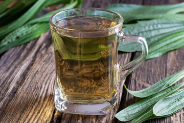A cup of plantain tea with fresh ribwort plantain leaves