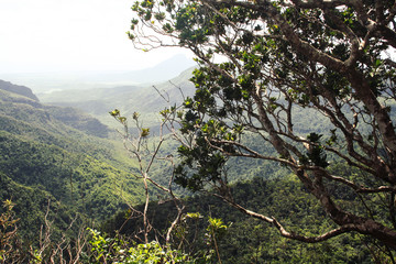 Black River Gorges National Park Viewpoint