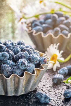 Summer honeysuckle berries in metal forms for baking