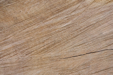 Abstract background. Wooden texture with cracks