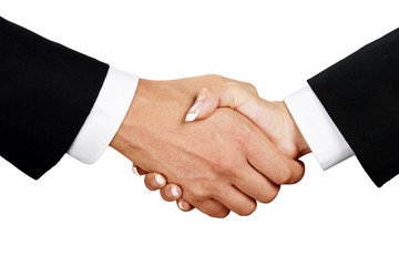 Closeup of Two Business People Shaking Hands