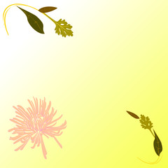 light composition with poink flower and leaves