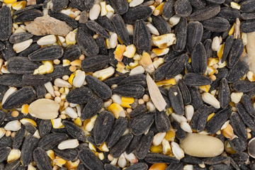 Close view of bulk wild bird food with assorted seeds and peanuts.