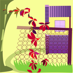 grape leaves on reticulated fence before house