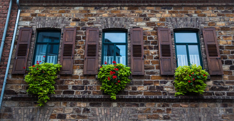 Fototapeta na wymiar bonitas ventanas con flores y pared antigua